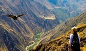 "Traslado de Cuzco a mirador de Condores en el Valle de Chonta"