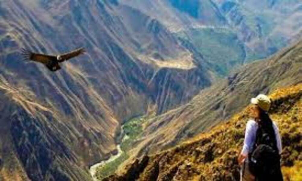 "Traslado de Cuzco a mirador de Condores en el Valle de Chonta"